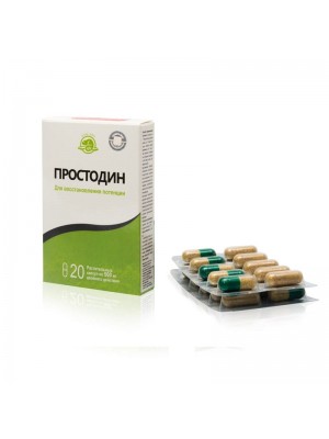 Простодин