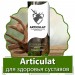 Артикулат в Нижней Салде