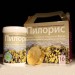Пилорис в Одинцово