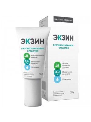 Экзин