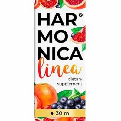 Harmonica Linea в Нижней Салде