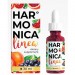 Harmonica Linea в Нижней Салде