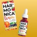 Harmonica Linea в Нижней Салде