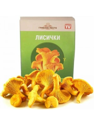 Грибное Место