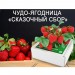 Сказочный Сбор в Нижней Салде