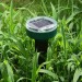 Garden Pro в России
