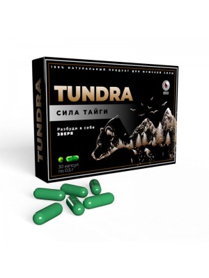 Тундра