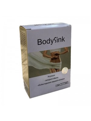 BodySink 