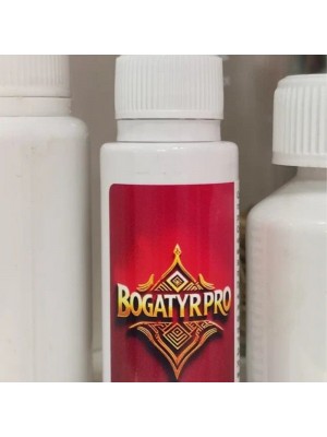 BogatyrPro