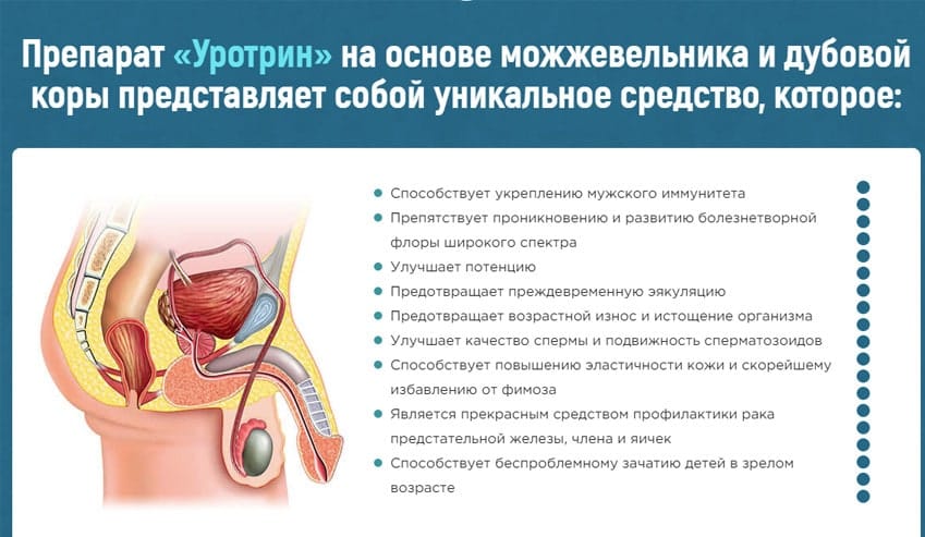 Уротрин препарат