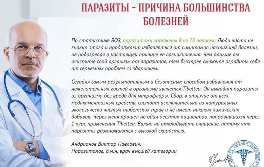 Культура Тибета чай от паразитов