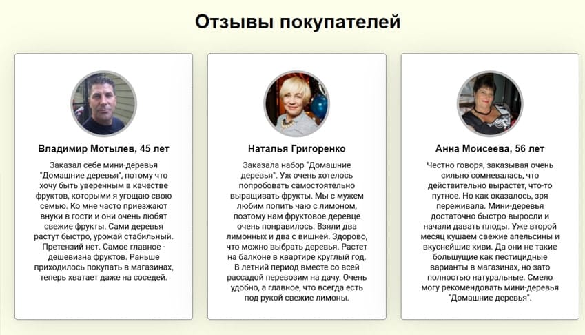 Гибридные мини-деревья Домашние Фрукты Экодар