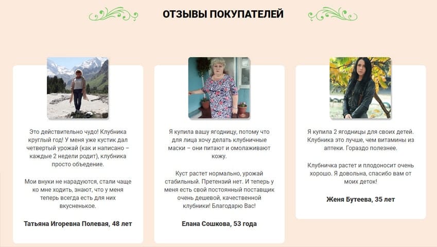 Домашняя ягодница клубника