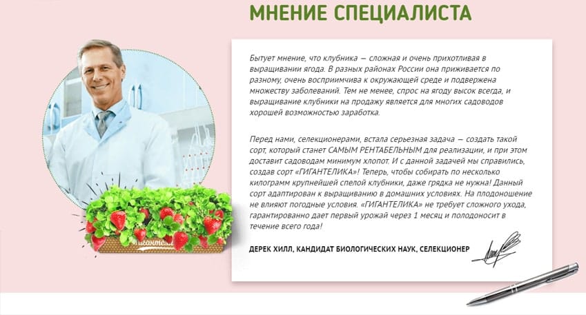 Клубника Гигантелика 