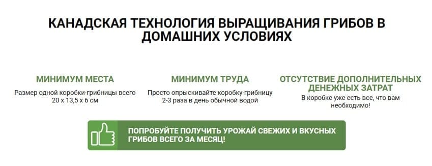 Грибное Место домашняя грибница