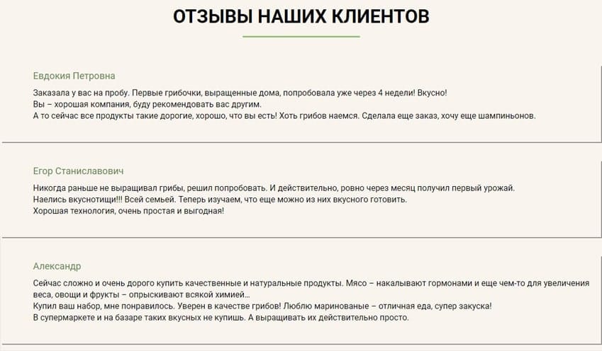 Грибное Место грибы в домашних условиях