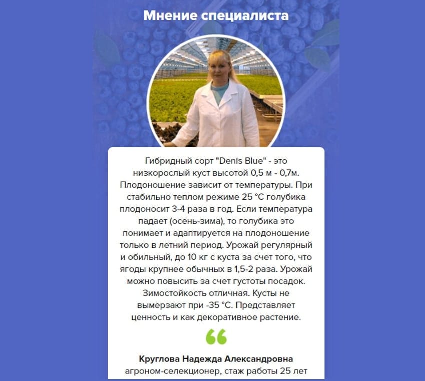 Денис Блю 