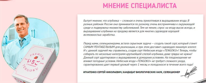 Tengoku Небесная Ягода