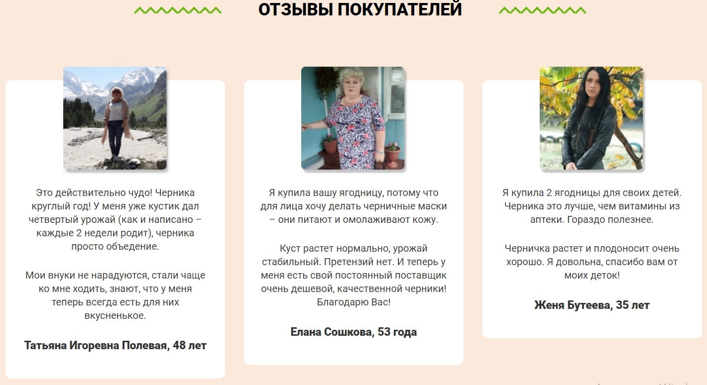 Ягодница для домашнего выращивания черники 