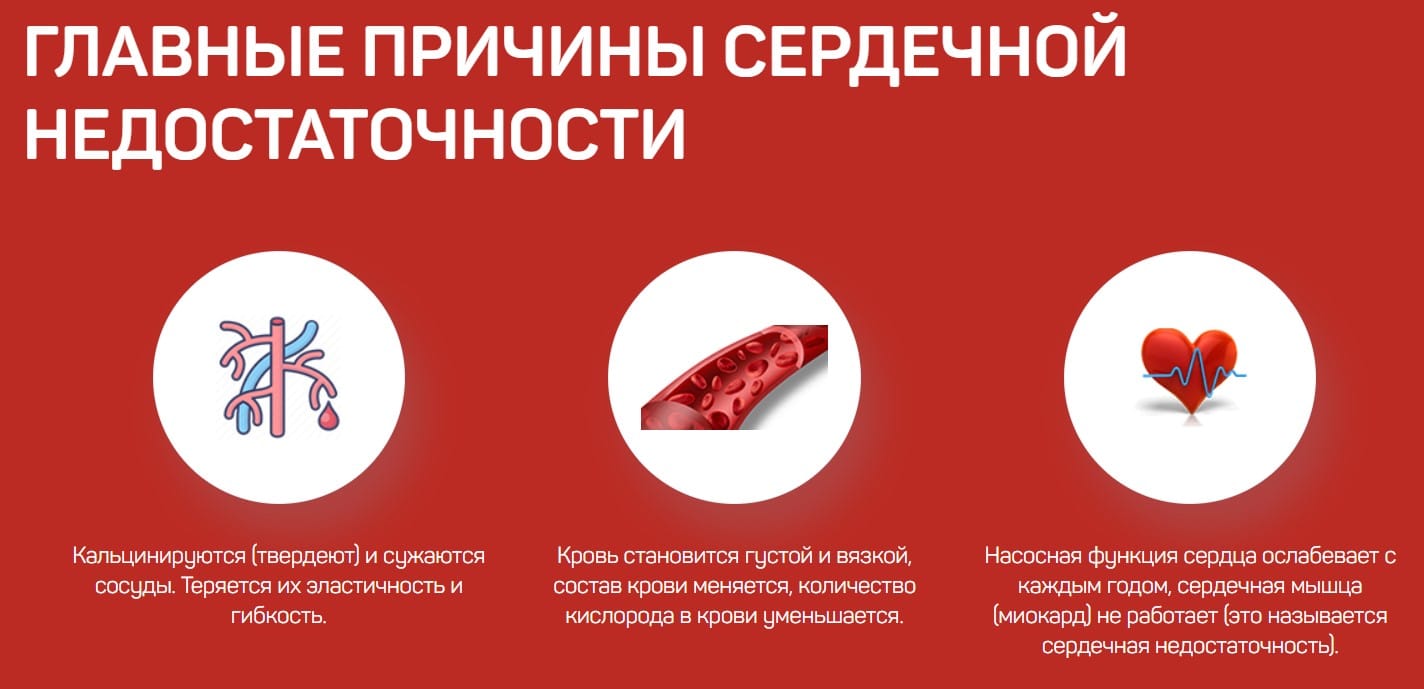 Корсиктал для здоровья сердца и сосудов
