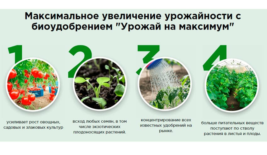 Урожай на максимум органическое удобрение