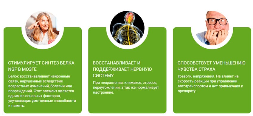 Микродозинг Ежовика Гребенчатого 