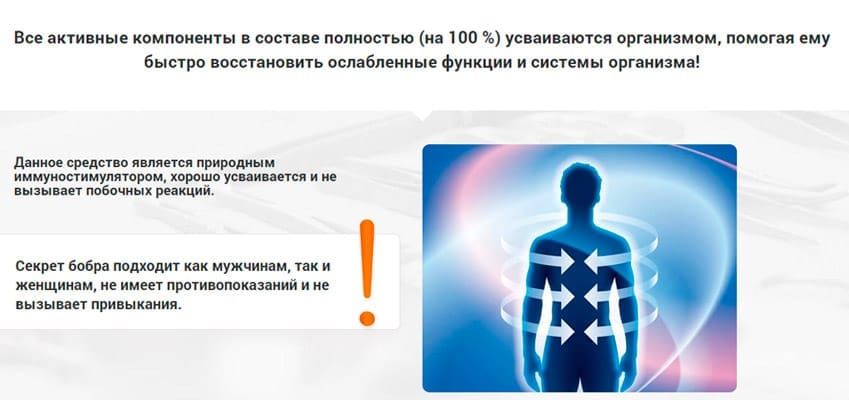 Секрет Бобра с пантами алтайского марала усиленный комплекс