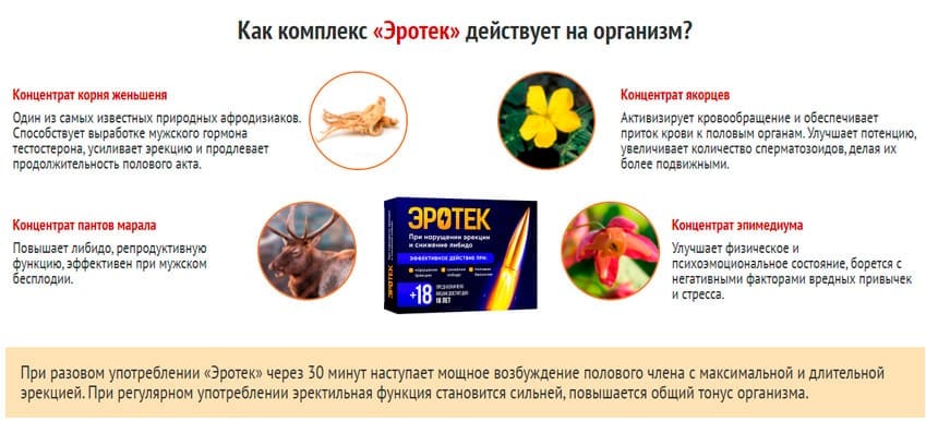 Эротек средство для потенции