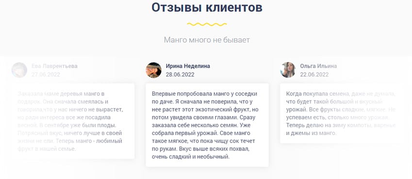 Дерево манго в домашних условиях