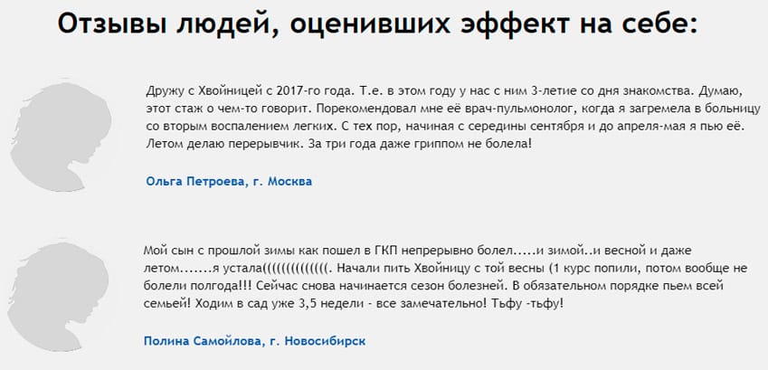 Хвойница порошок для иммунитета