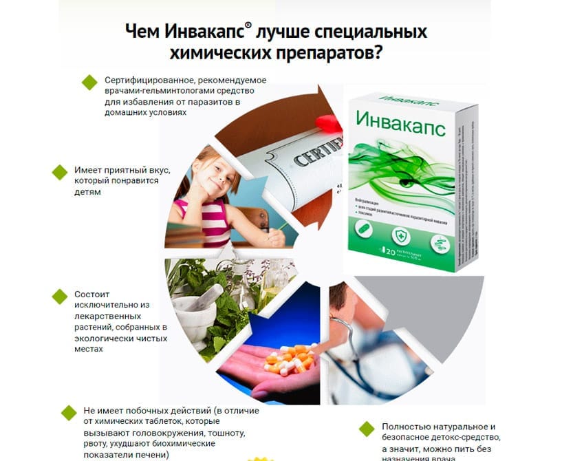 Инвакапс капсулы от гельминтов