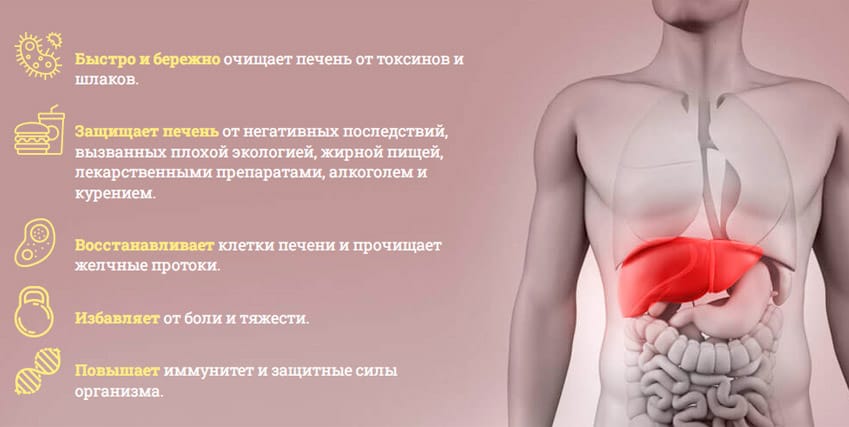 Травяной сбор Печень для восстановления