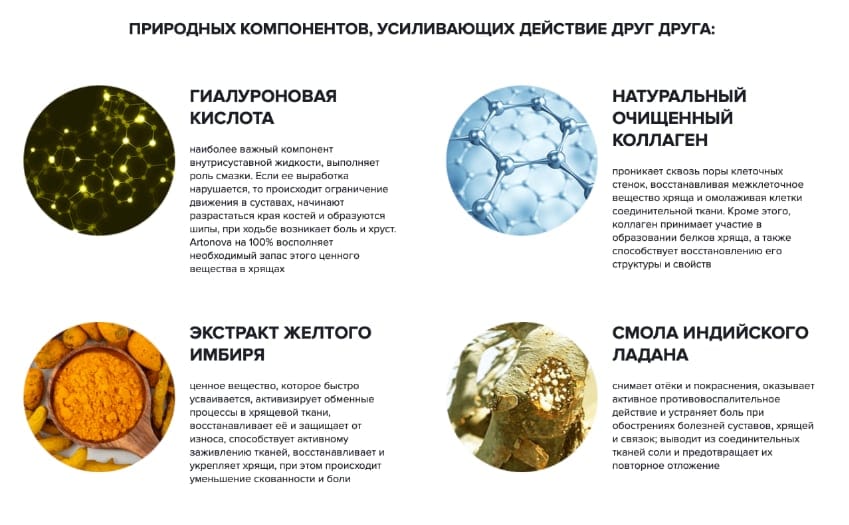 Artonova капсулы для суставов